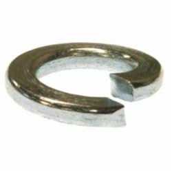Metallics JSLW91