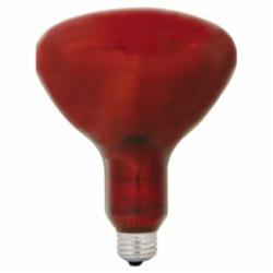GE Lamps 250R40/10-6PK-120